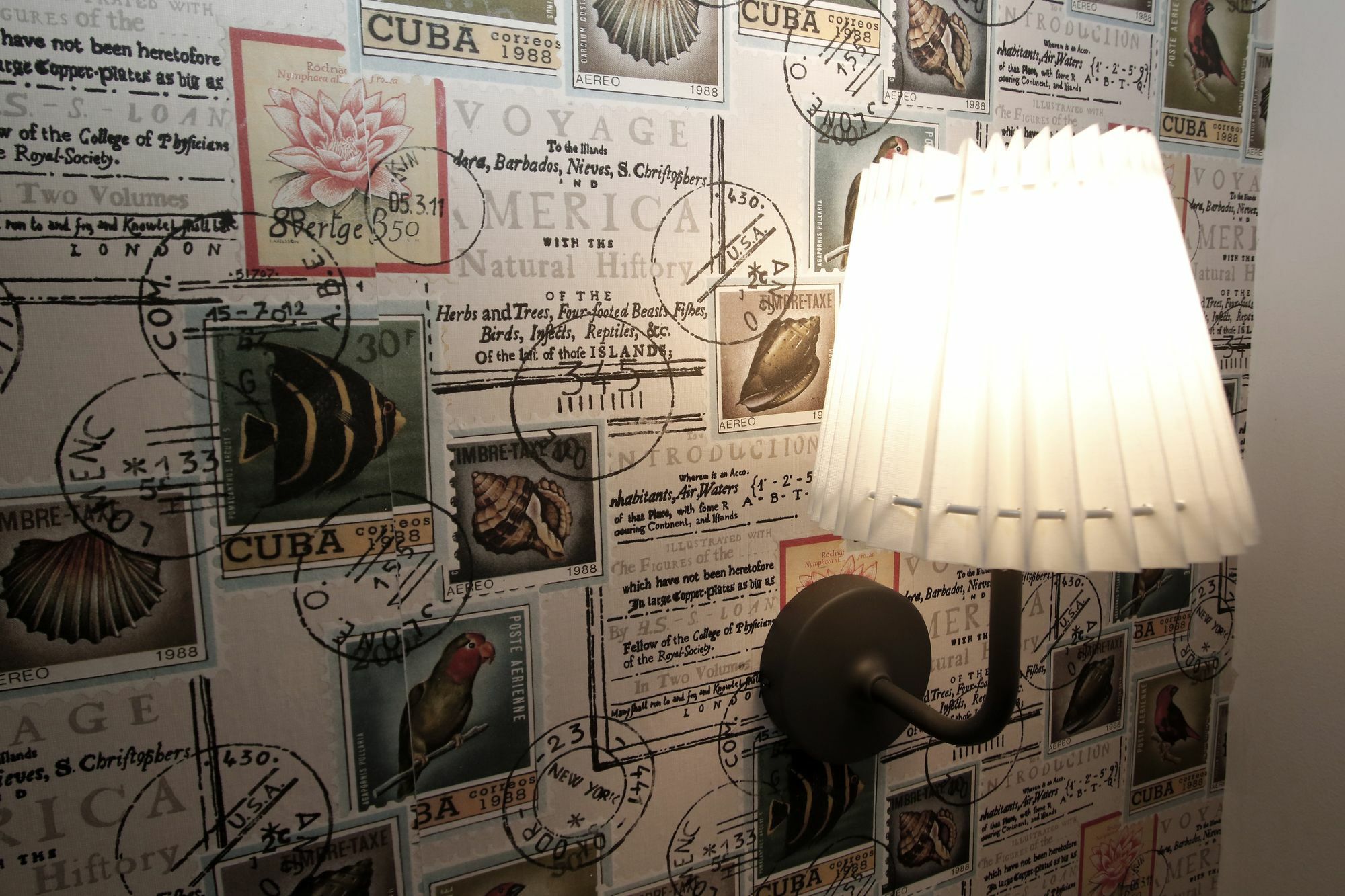 Domus Iuliae Otel Roma Dış mekan fotoğraf
